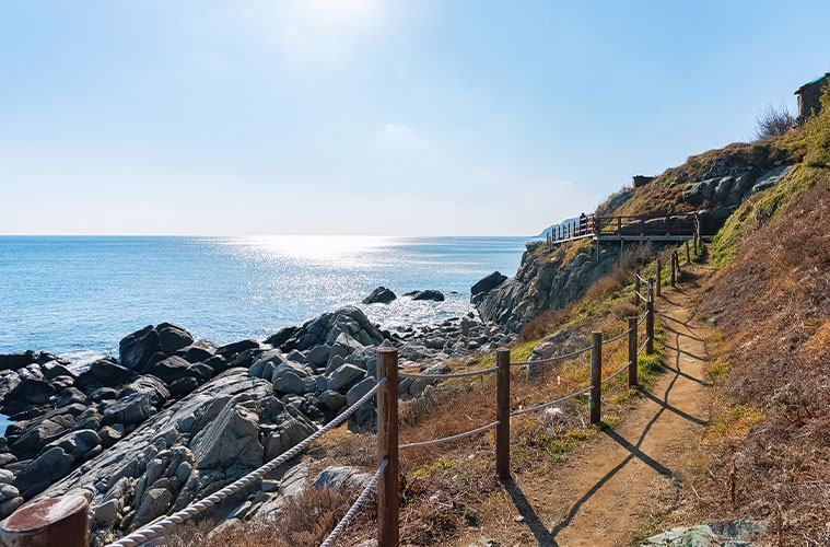 영덕블루로드